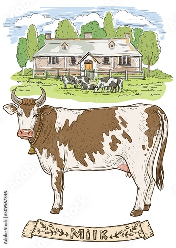 a herd of cows against a rural house