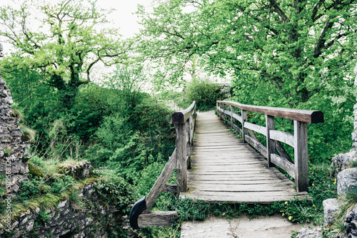 suspension bridge going over the mountain