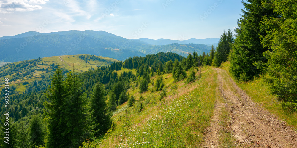 carpathian countryside landscape at high noon. beautiful summer mountain scenery on a sunny day. forested hills and grassy meadows beneath a blue sky with cumulus clouds