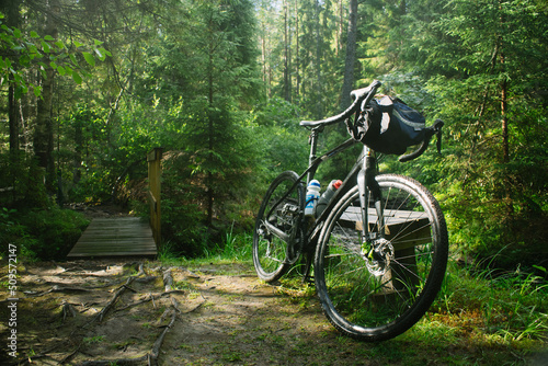 Bike in a forest