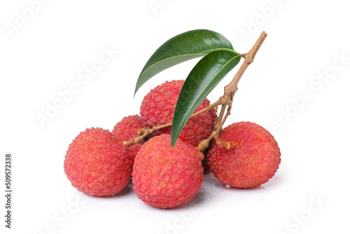 Lychee branch isolated on white background. 