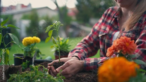 Midsection Female gardener plant green.