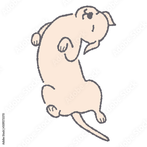 仰向けで寝転がる犬のイラスト