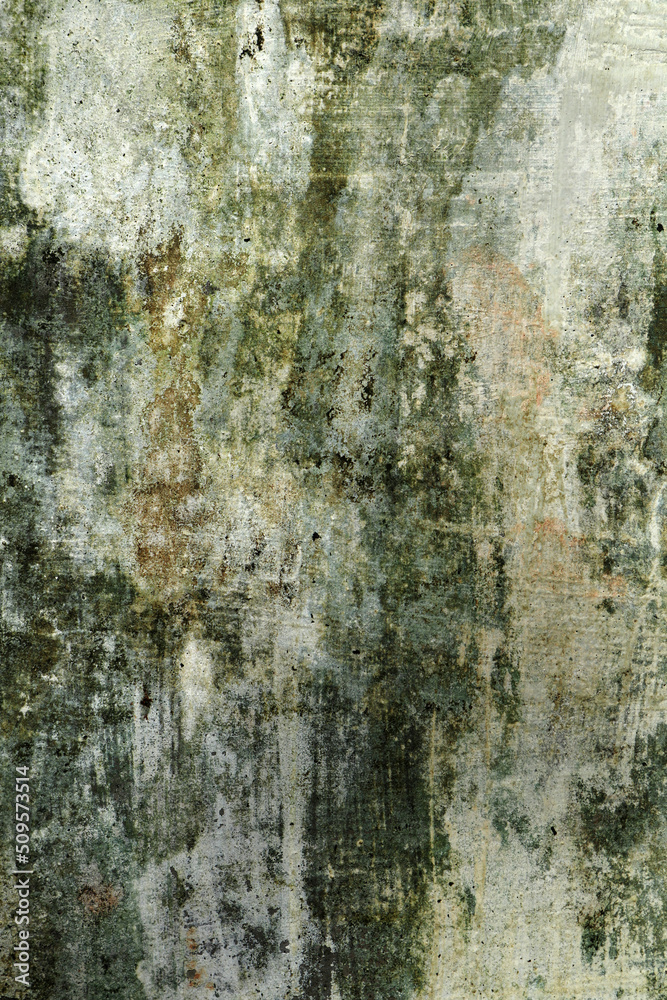 Abstract grungy white wall background with green patches Abstract grungy white wall background with green patches