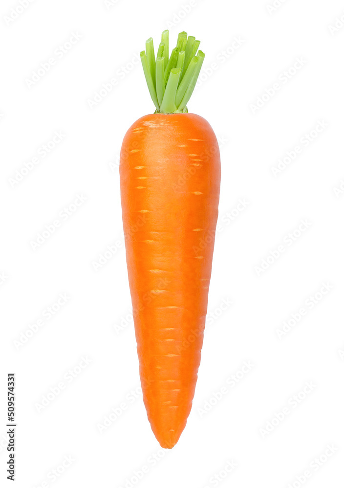 carrot isolated on white background carrot isolated on white background