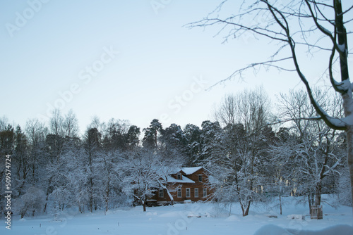 Forest house in winter