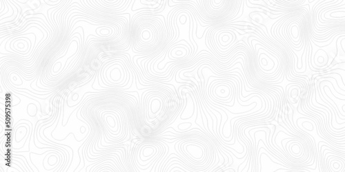White wave paper curved reliefs abstract background, Abstract topographic contours map on concept of a conditional geography scheme and the terrain path. Dark on black, vector illustration.