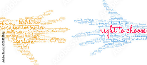 Right To Choose Word Cloud on a white background. 