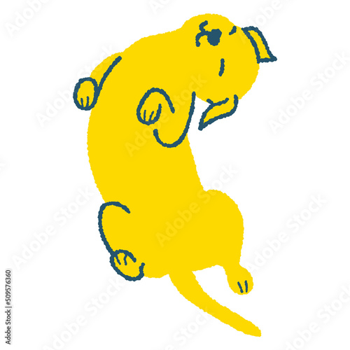 仰向けで寝転がる犬のイラスト