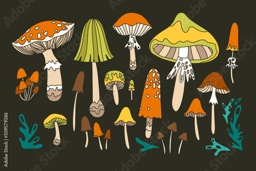 Set of mushrooms in retro hippie style, 60s, 70s. Vector illustration, mushrooms, toadstools, fly agaric, amanita.