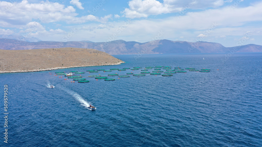Aerial drone photo of fish farming unit of sea bass and sea bream with round net cages in Anemokambi bay area near Galaxidi, Greece Aerial drone photo of fish farming unit of sea bass and sea bream with round net cages in Anemokambi bay area near Galaxidi, Greece