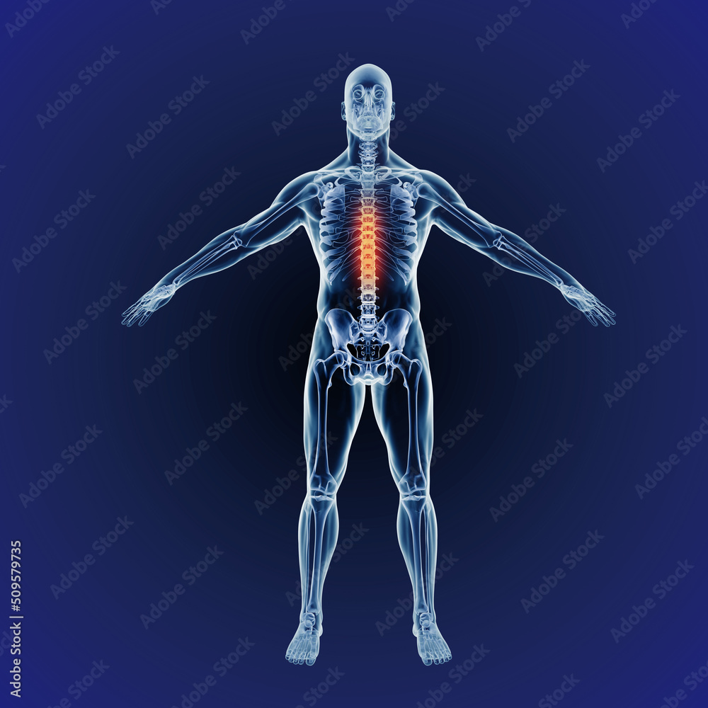 Upper back pains. When inflammation strikes. Computer generated illustration of the human body indicating the skeletal structure Upper back pains. When inflammation strikes. Computer generated illustration of the human body indicating the skeletal structure
