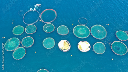 Aerial drone photo of sea bass and sea bream fishery or fish farming unit in Mediterranean calm deep blue sea