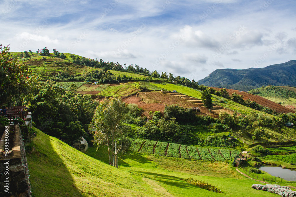 Magnificent valley with green plantation and forest against a range of mountains in ooty