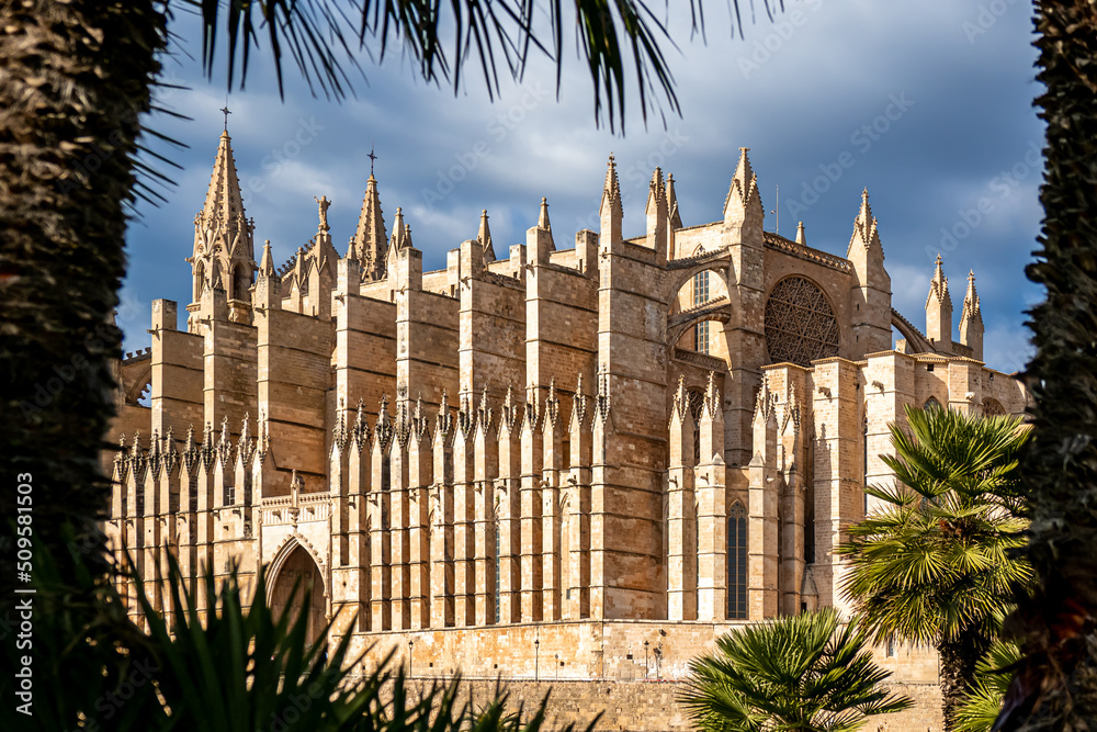 Side view of the majestic gothic style Cathedral of St. Mary of Palma de Mallorca known as La Seu de Mallorca outside illuminated by sunlight at daytime and framed with palm trees in front of clouds.