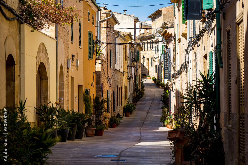 Photography of a typical groomed mediterranean alley lined with plant pots uphill in Alcudia old town with sunlit facades at springtime and a shadow cast street called Carrer de la Roca at Mallorca.