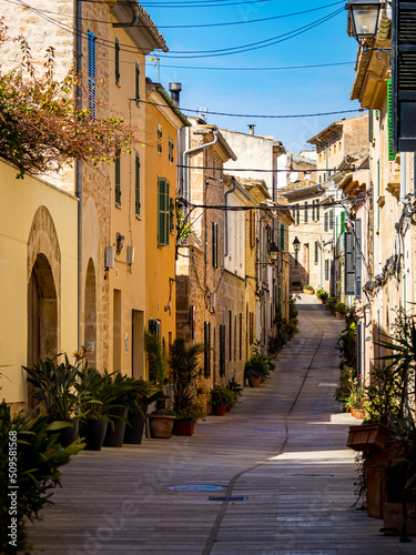 Portrait of the neat narrow alley Carrer de la Roca lined with plants uphill in the residential area of Alcúdia old town with facades sunlit at springtime and a shadow cast street at Mallorca.