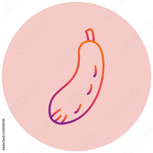 Bottle Gourd Icon