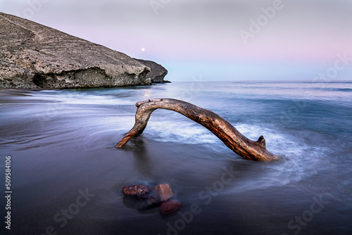 Trunk stranded by the tide in Cala de la Media Luna, Cabo de Gata, Almeria