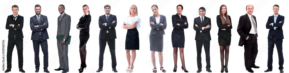 group of successful business people isolated on white