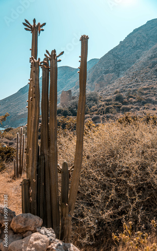 Cala San Pedro in the Natural Park of Cabo de Gata, a virgin beach, totally isolated and beautiful, Almeria, Spain.