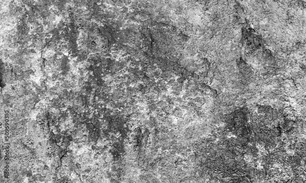 Fototapeta premium Gray rock wall texture, natural rough stone background