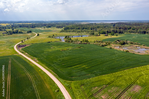 rural landscape with agricultural fields, roads and lonely trees, drone photography
