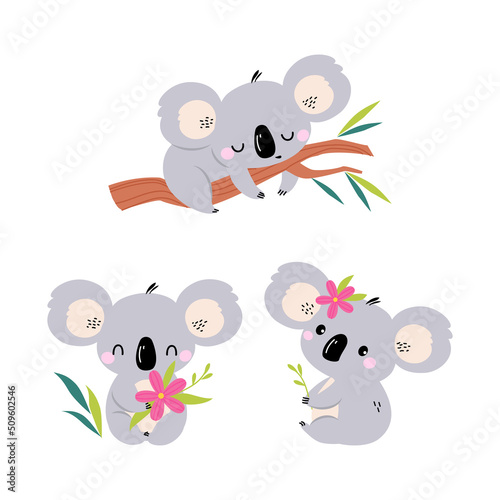 Adorable Koala Arboreal Australian Animal with Round Ears Sleeping on Eucalypt Tree Vector Set