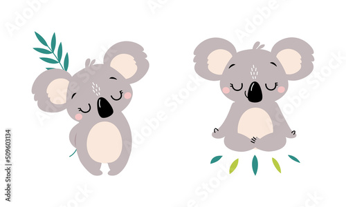 Adorable Koala Arboreal Australian Animal with Round Ears with Eucalypt Branch and Meditating in Yoga Pose Vector Set