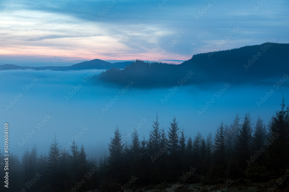 The mountain valley is covered with thick foggy clouds, morning in the Carpathians