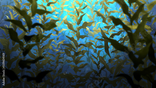 背景イラスト_海藻,海底