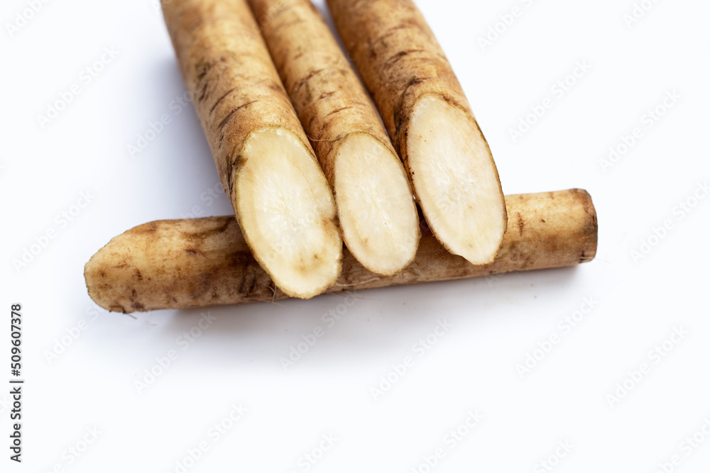 Burdock Root (Gobo) on white background. Burdock Root (Gobo) on white background.