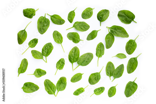 Spinach leaves on white background.