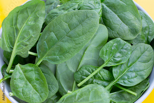 Spinach leaves on yellow background.