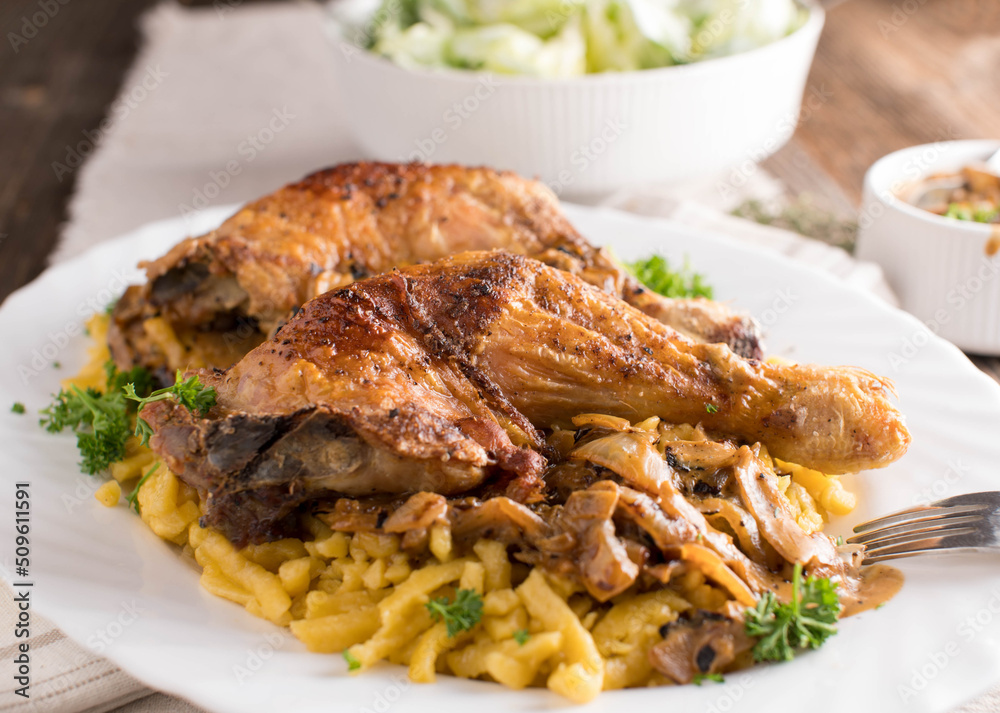 Spaetzle noodles with roasted chicken and creamy onion sauce Spaetzle noodles with roasted chicken and creamy onion sauce