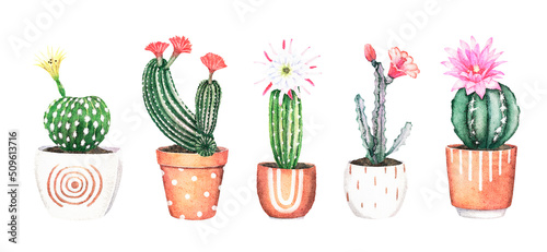 Watercolor green cactus illustration. Flowering cacti in terracotta pots clipart. Houseplants design for posters, prints, cards, invitations
