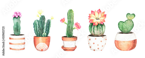 Watercolor green cactus illustration on white background. Flowering cacti in clay pots clipart. Houseplants design for posters, prints, cards, invitations