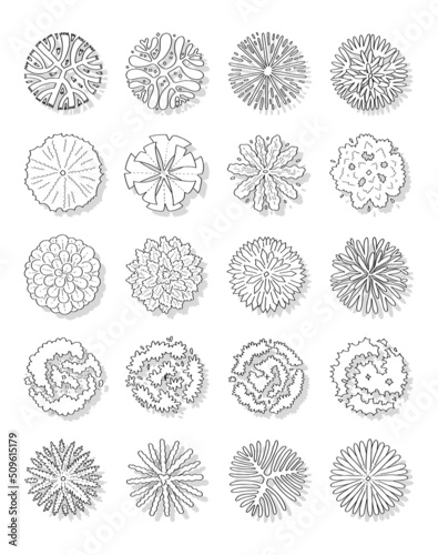 Hand drawn vector set of top view trees.