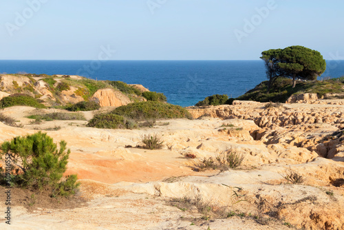 Felslandschaft an der Algarve