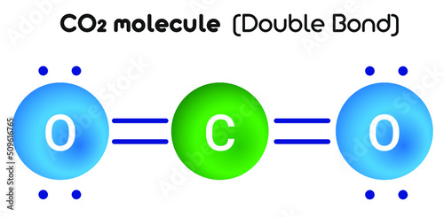 CO2 molecule: Double covalent bonds are much stronger than a single bond, but they are less stable.