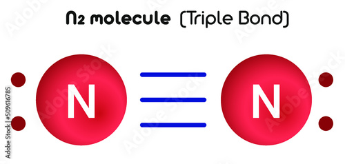 N2 molecule: Least stable type of covalent bonds.