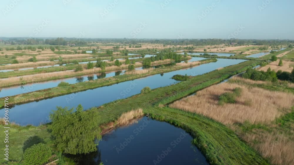 Dutch Polder Farm In Green Countryside Near Weerribben, Netherlands - aerial drone shot Dutch Polder Farm In Green Countryside Near Weerribben, Netherlands - aerial drone shot