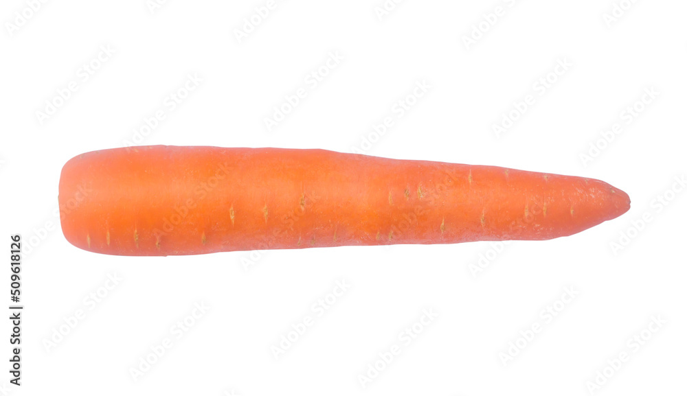 Top view photo of single fresh orange carrot vegetable isolated on white background with clipping path Top view photo of single fresh orange carrot vegetable isolated on white background with clipping path