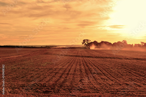 Campo arado com irrigação no por do sol