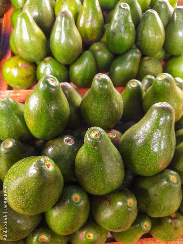 a pile of new and fresh avocados that want to be sold in the market