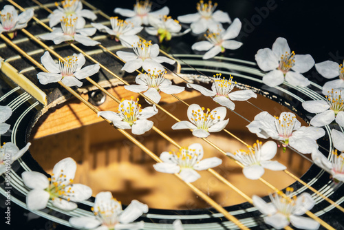 On the guitar strings. Strings in flowers close up. Spring flowers