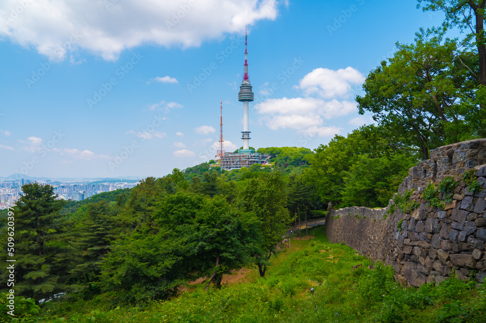 Obraz premium Summer of Namsan park at Seoul City ,South Korea.
