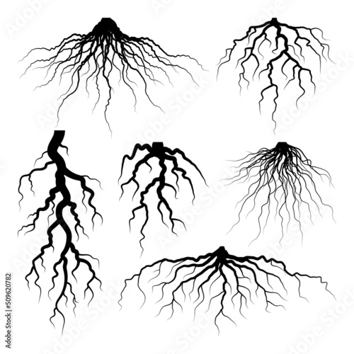 Various realistic tree or shrub roots. Parts of plant, root system with tree stump. Dendrology, study of woody plants. Sketch drawing. Vector illustration