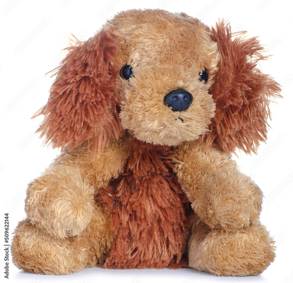 Soft toy dog on white background isolation