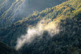 Wisp of fog floats through a rocky gorge with native forests